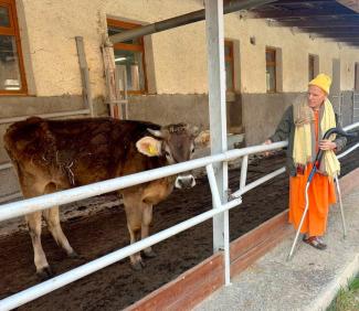 SURABHI FARM in CZECH REPUBLIC